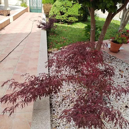 Casa Lopez * Carnota